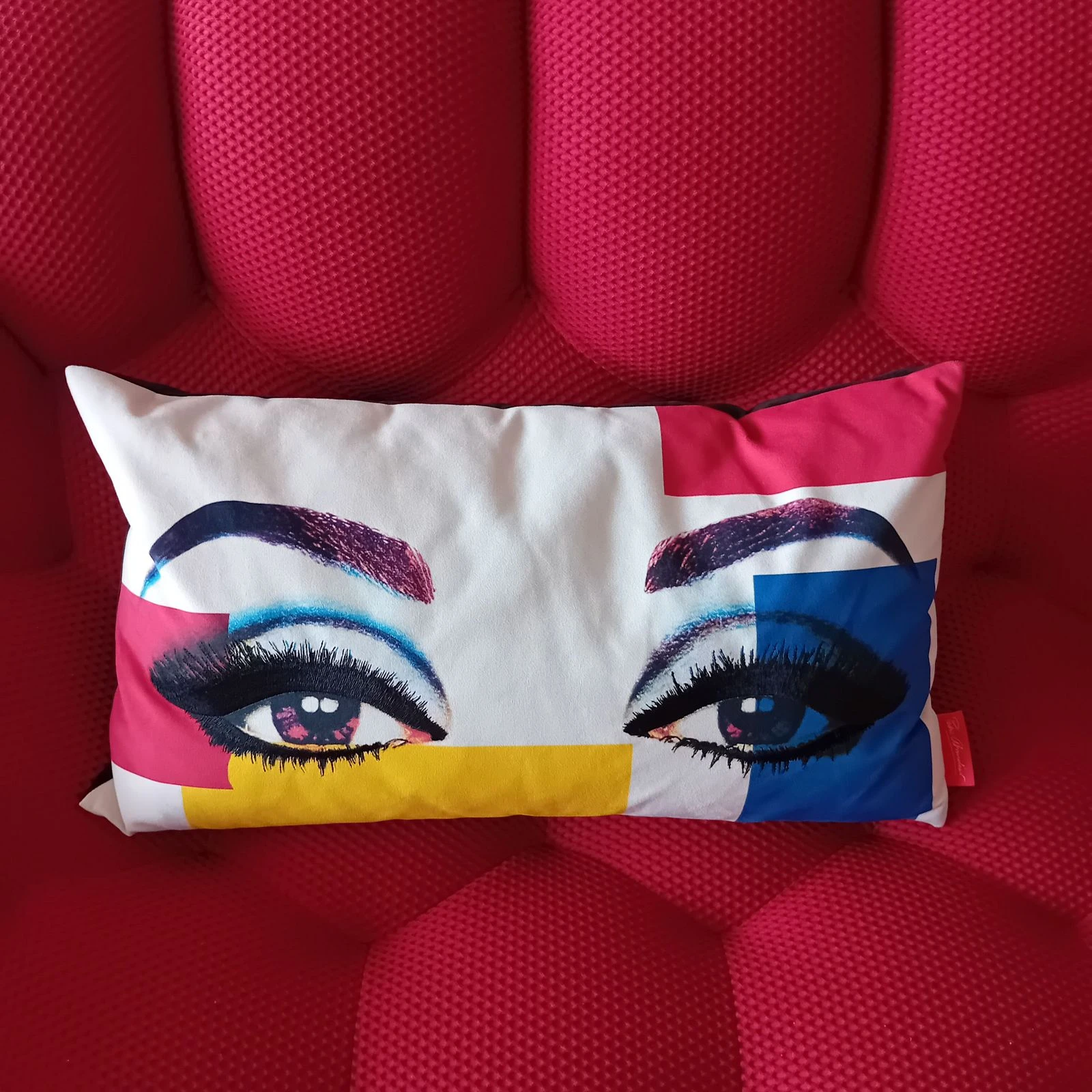 Coussin Roche Bobois – photo 2